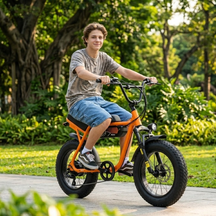V-101 TrailMaster Electric Bike