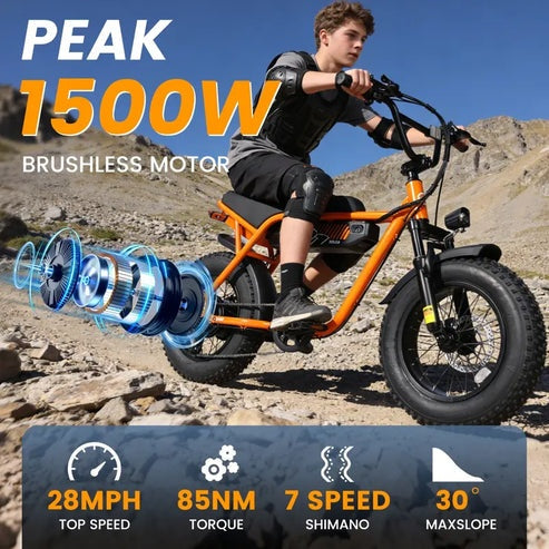 V-101 TrailMaster Electric Bike