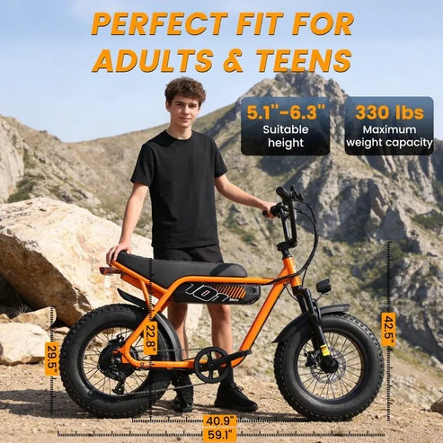 V-101 TrailMaster Electric Bike